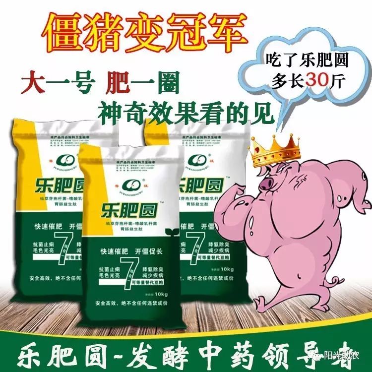 養(yǎng)豬賺大錢，就用樂肥圓!