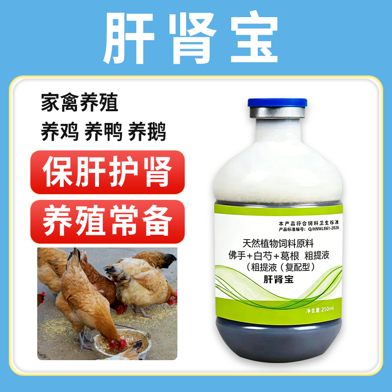 肝腎寶 廠家直銷(xiāo)