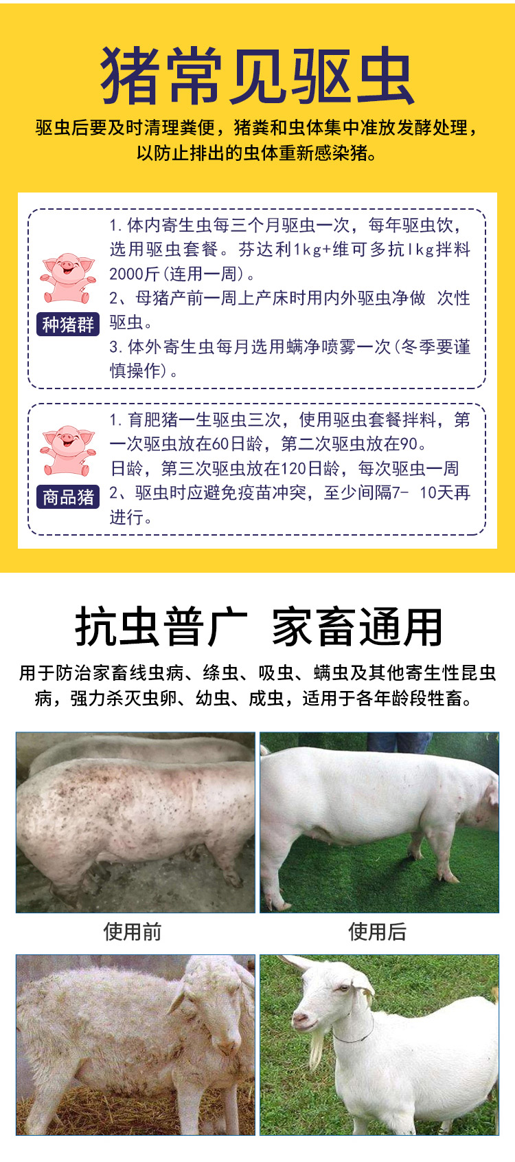 芬苯達(dá)唑伊粉復(fù)合維生素B